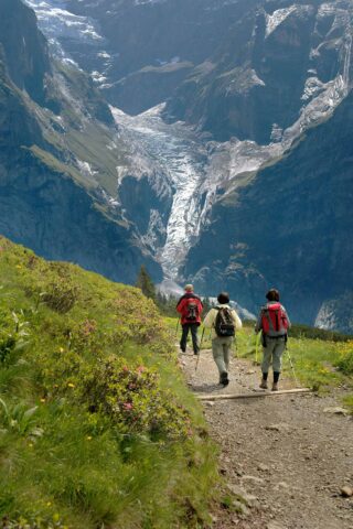 A group of hikers following a trail.