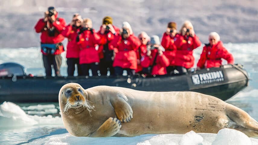 Photographers taking photos of a seal.