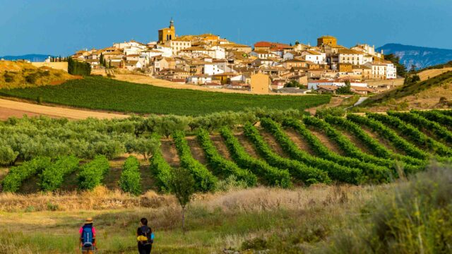 Two people walking the Camino De Santiago.