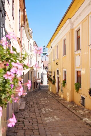 A street in Bratislava, Czech Republic.