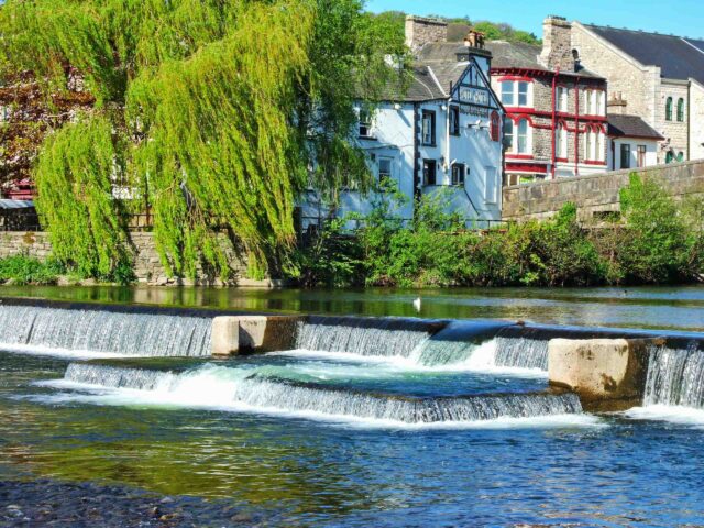 A river with a willow tree in the background.