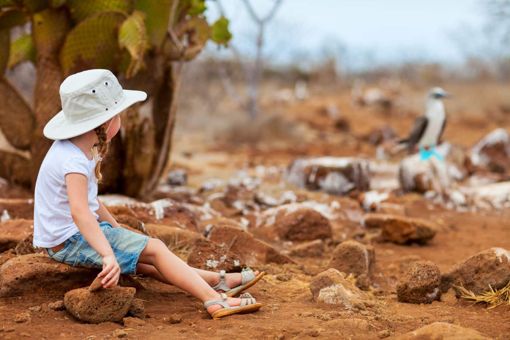 A girl observing a blue footed booby.