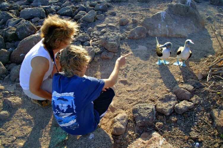 Two tourists watching two boobies.