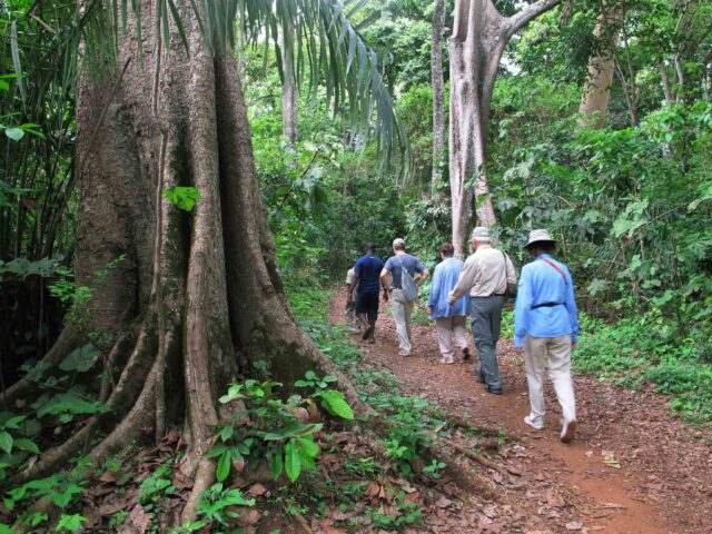 A group of tourists on a hike in Ghana.