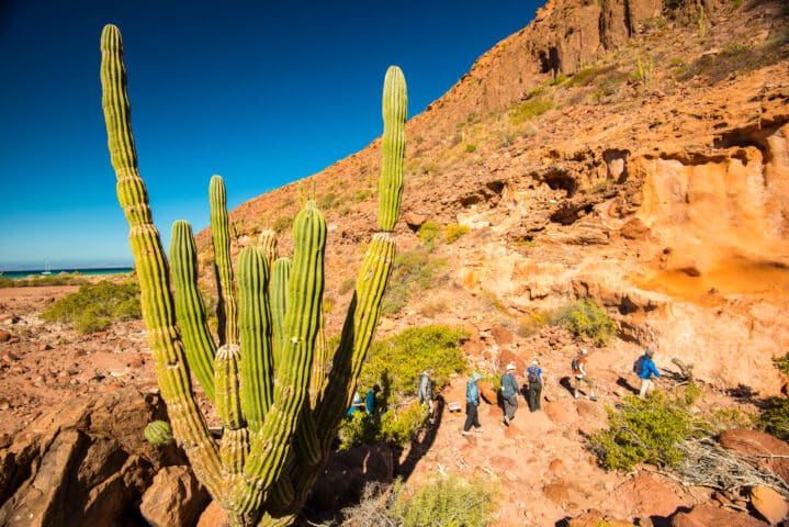 Mexico, Baja, Lapaz, Espiritu Santo. Tourists hiking.