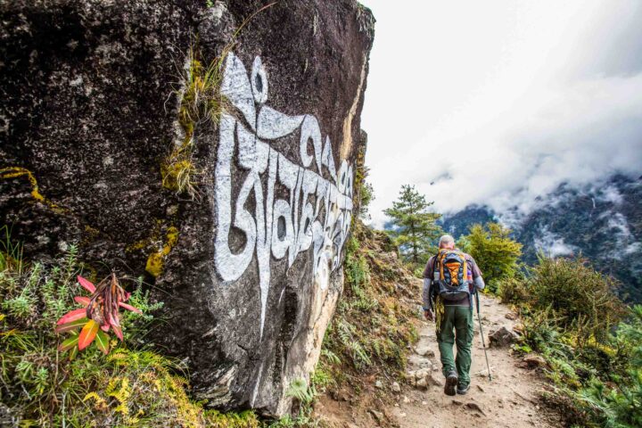 A hiker on a path in the Himalayas.