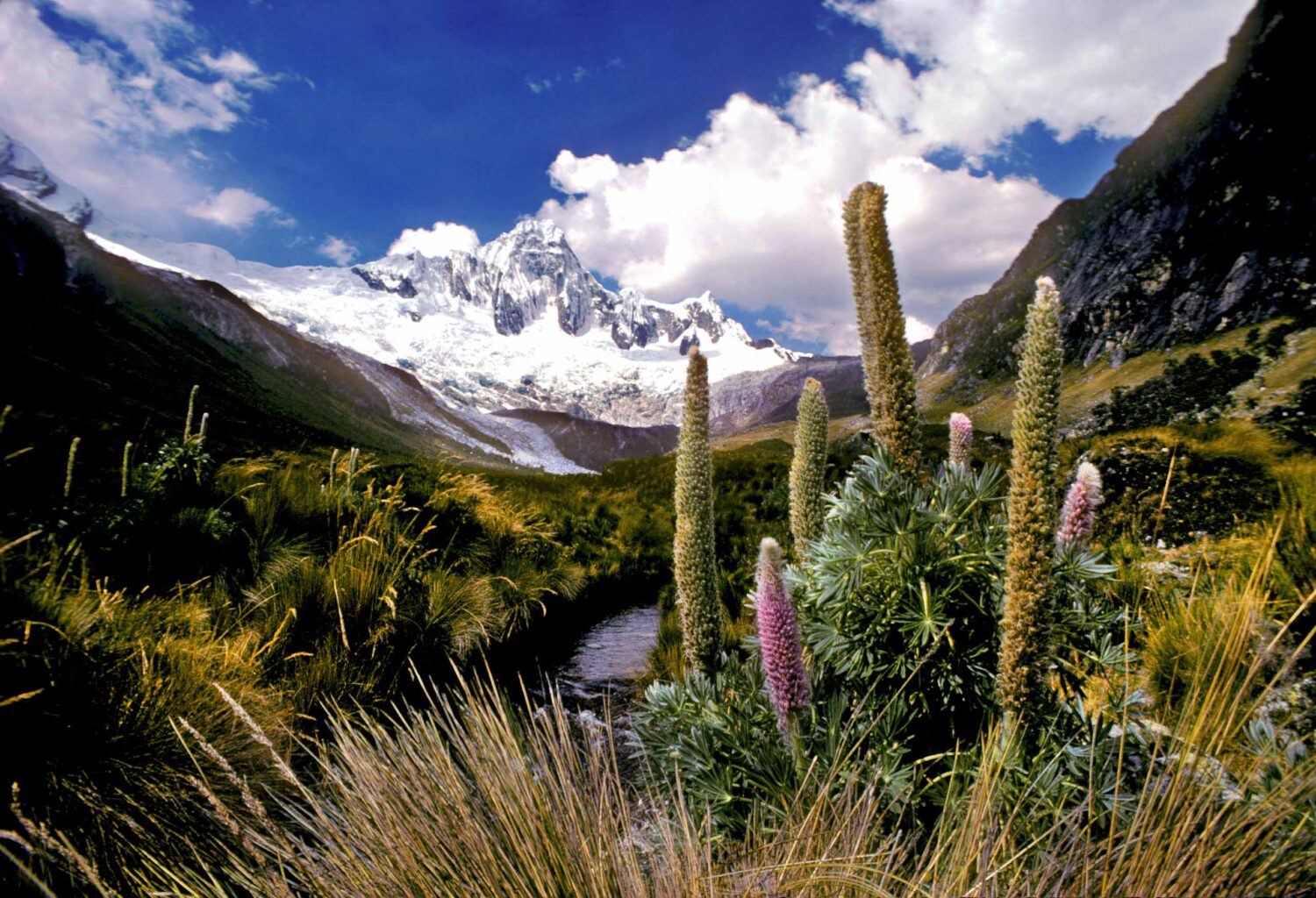 A field and mountains in Peru.