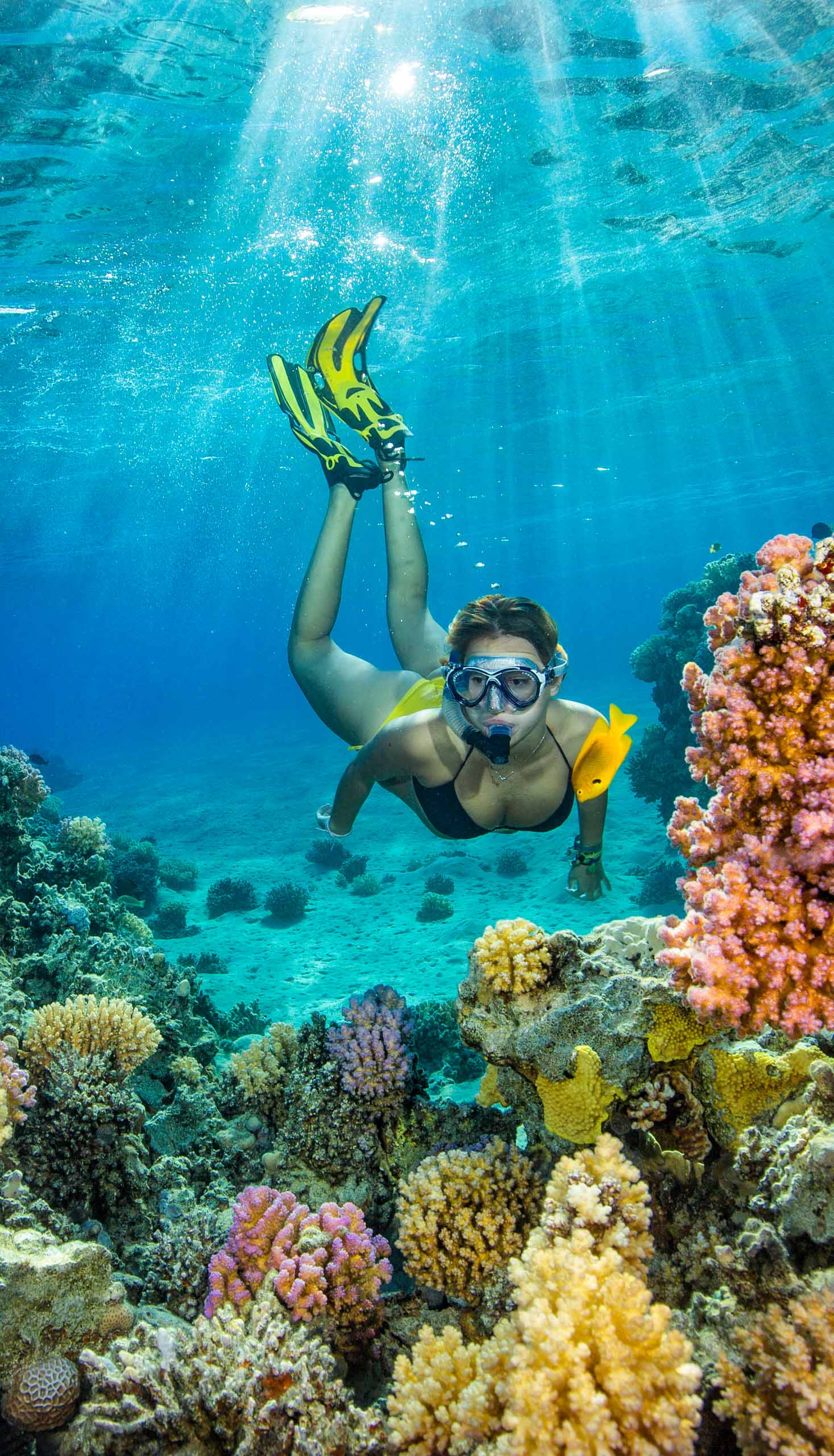 A person snorkeling.