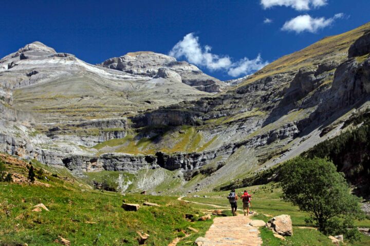 Pyrenees.