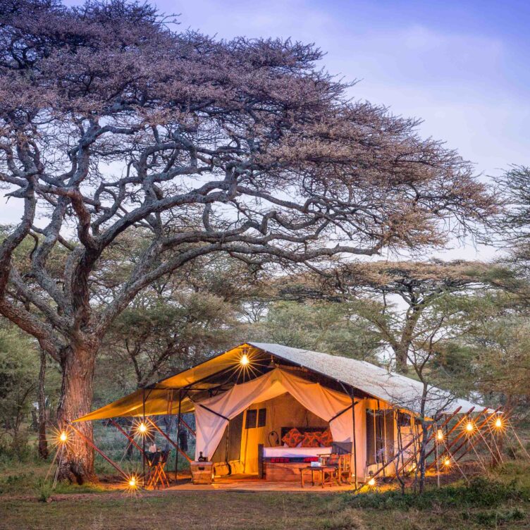 A campsite in Tanzania.