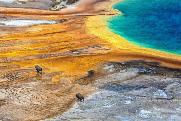 Geyser at Yellowstone National Park.