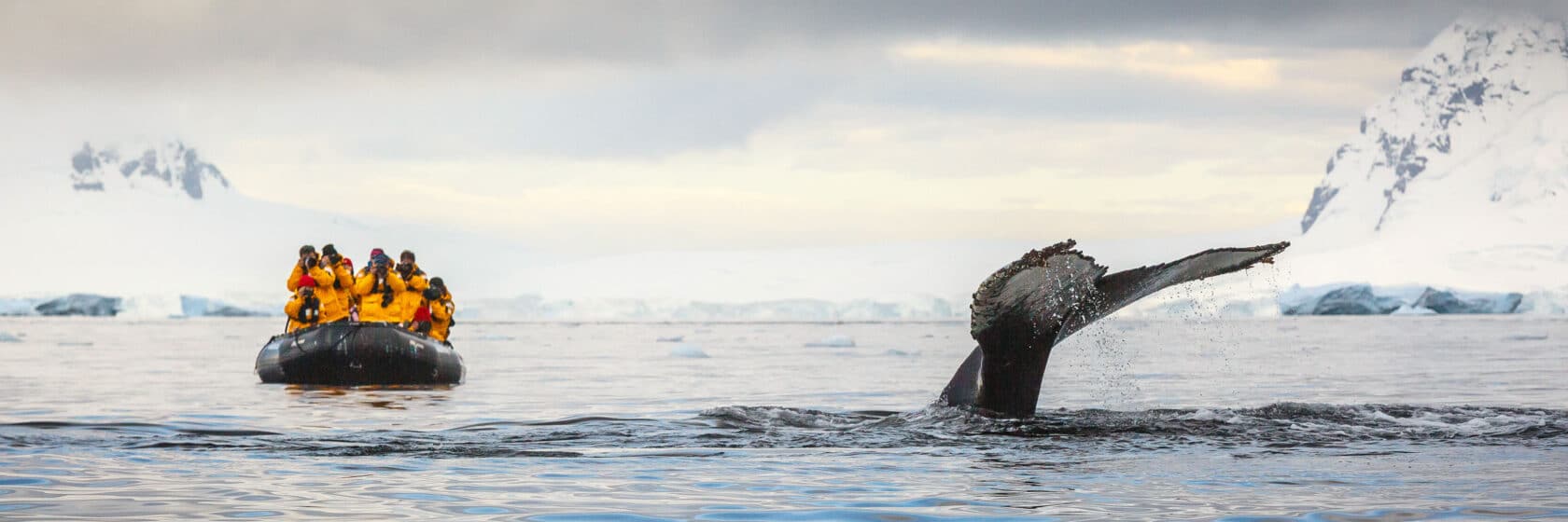 A group of tourists whale watching.