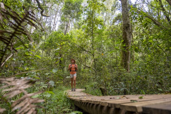 Young woman hiking in a pristine forest