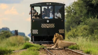 Tourists on the Elephant Express.